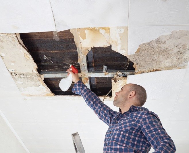 Can I remove mould myself with a damp cloth and mould spray bottle