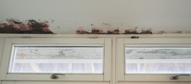 Keswick mould cleaning service FAQs