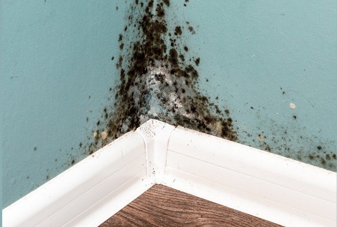 Why should I work with the Cleanup Team